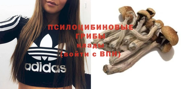гидра Киренск