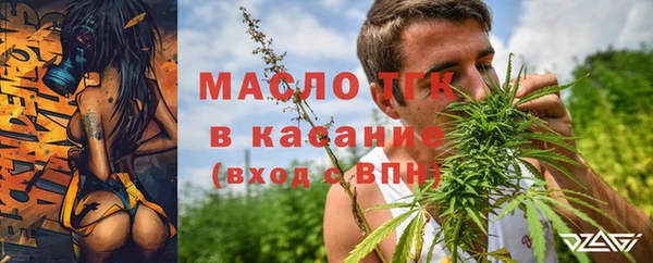 гидра Киренск