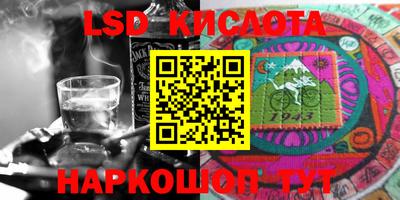 твердый Камышлов