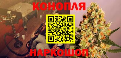 твердый Камышлов