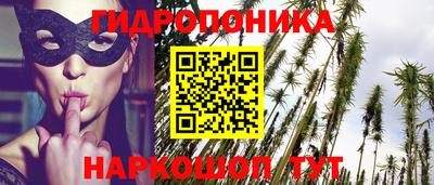 твердый Камышлов