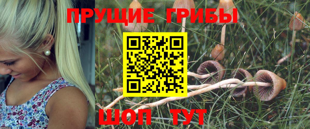 Набережные Челны  Галлюциногенные грибы GOLDEN TEACHER  Вход с VPN 